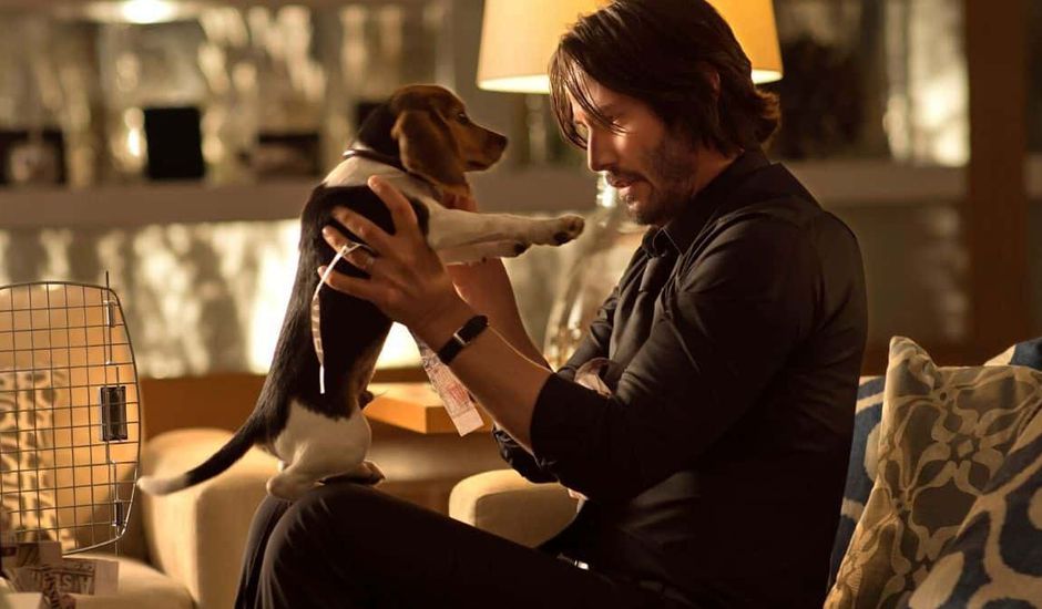 image de john avec son chien