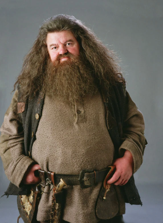 Rubeus_Hagrid